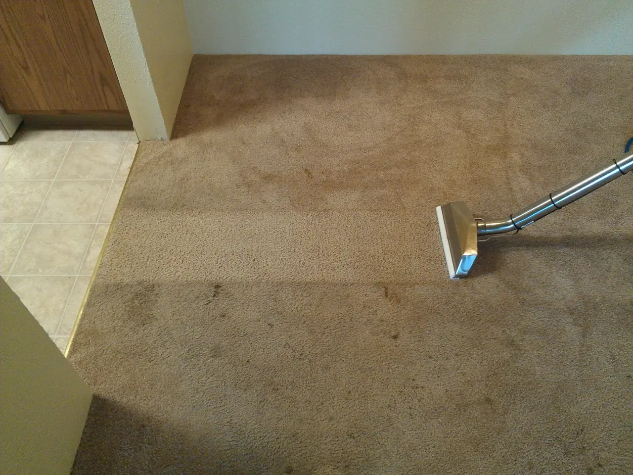 Professional carpet cleaning technician at work